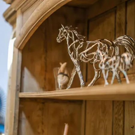 Mas Des Sylves - Piscine Interieure Chauffee - Parc De 100 Hectares