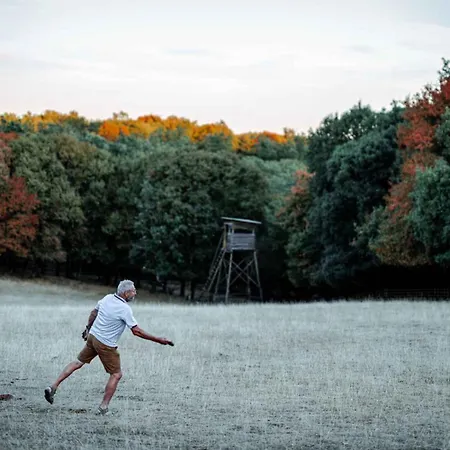 Landhaus Mas Des Sylves - Piscine Interieure Chauffee - Parc De 100 Hectares Saint-Antonin
